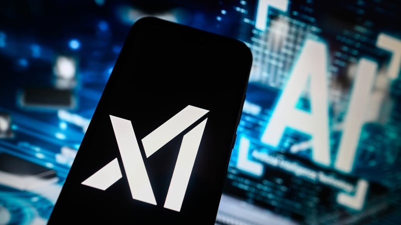 Elon Musk owns EV maker Telsa and artificial intelligence startup xAI