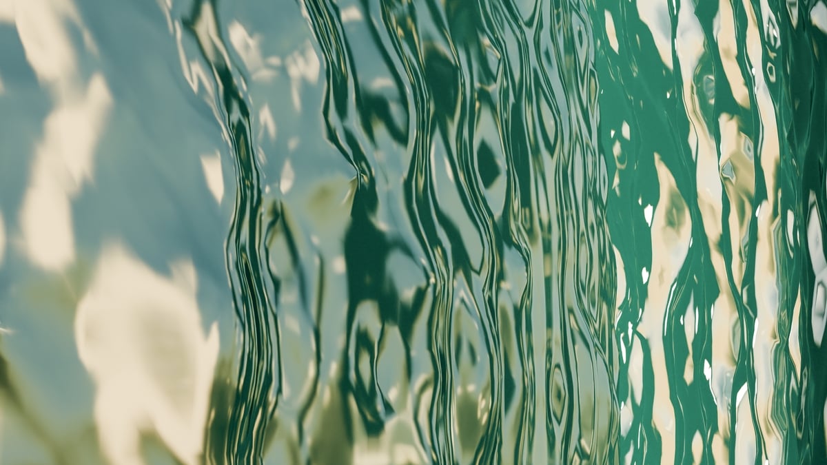 The Search For A Rescued Boy