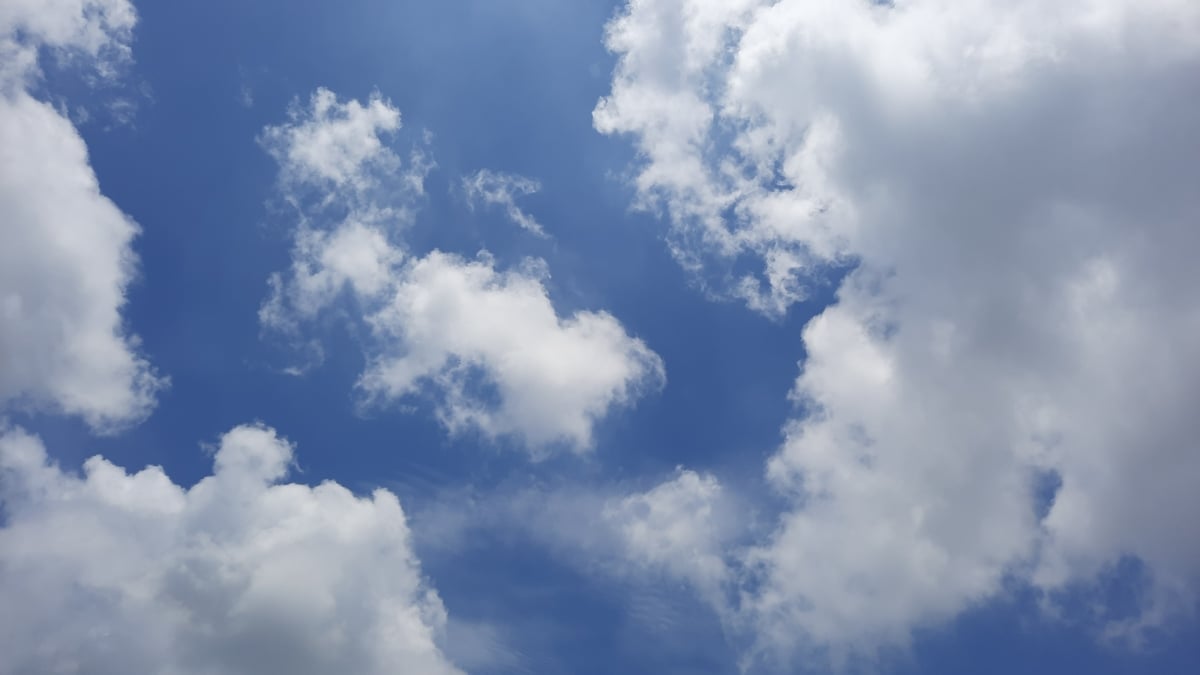 Weather Forecast