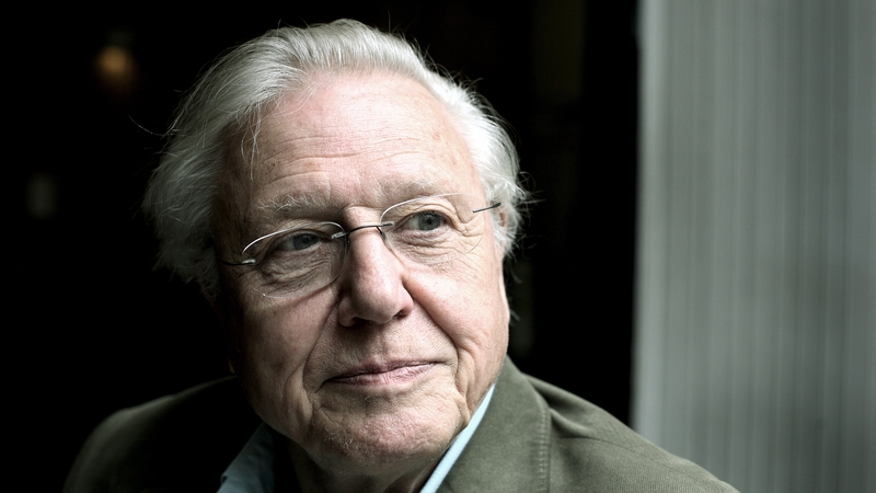 The legendary David Attenborough