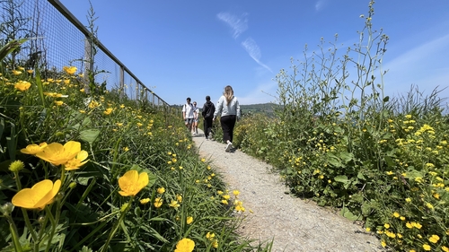 The 7km-long cliff walk, which has spectacular views of Ireland's east coast, has been closed since February 2021