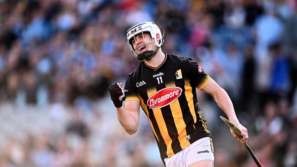 Leinster SHC final recap: Cats complete five in-a-row