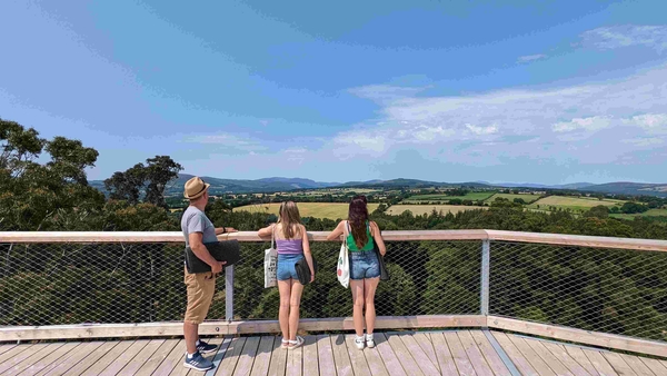 Siúltán sna crainn ag Tigh Pharnell i gCill Mhantáin