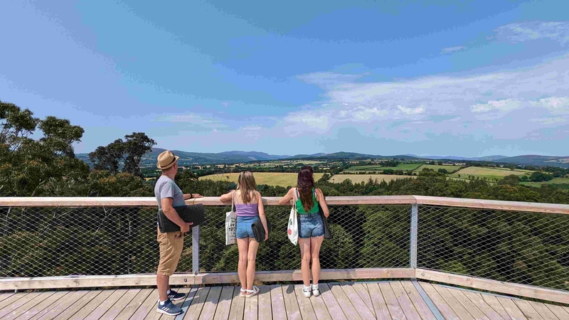 Siúltán sna crainn ag Tigh Pharnell i gCill Mhantáin