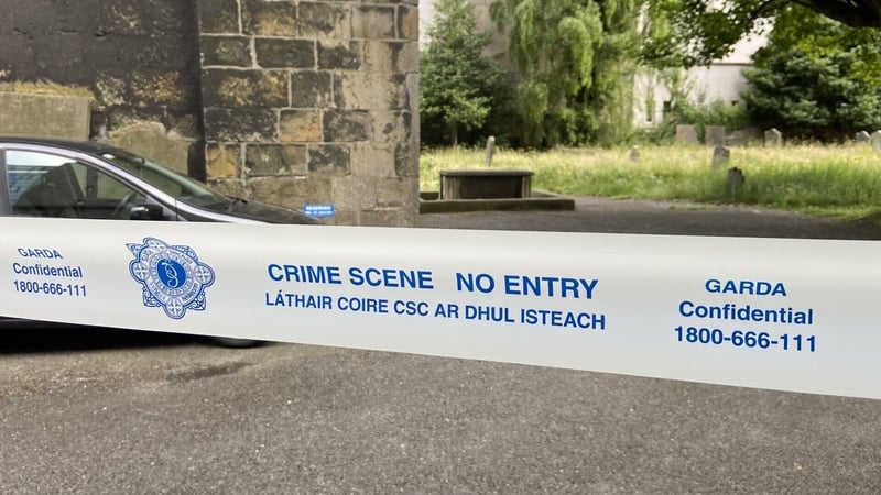 The fire happened at St Michan's Church in Dublin last June (file image)