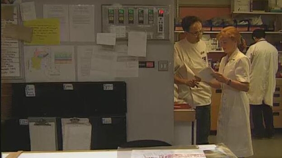 Healthcare staff in hospital (1994)