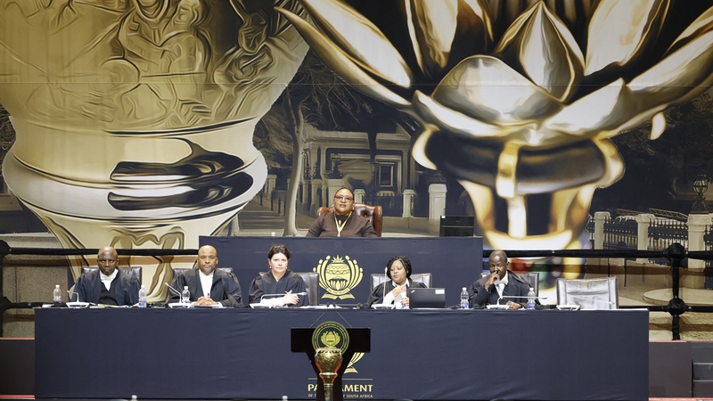 The ANC's Thoko Didiza was elected to the position of speaker of South Africa's National Assembly