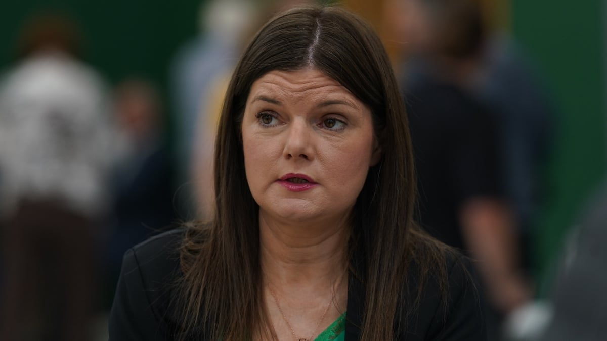 Sinn Féin MEP on conviction of former partner