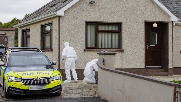 Police at the scene in Co Armagh today