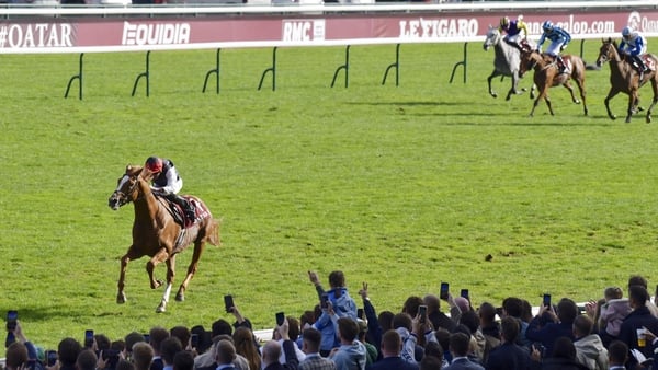 Kyprios heads the market for the Gold Cup