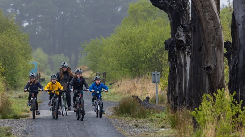 Lough Boora in Co Offaly is getting funds to improve its walking and cycling trails