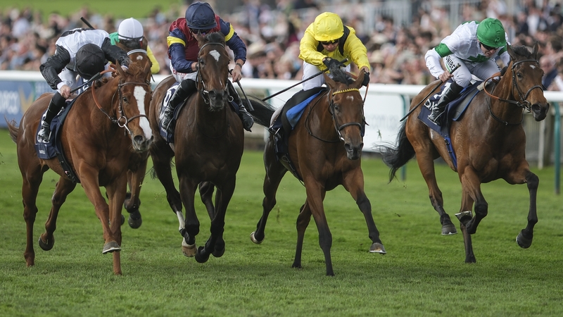 Elmalka (yellow and black) will be reopposed by two of runners that finished behind her in the 1000 Guineas