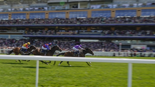 Illinois got the better of Highbury and Birdman in the Queen's Vase