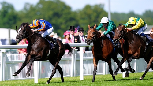Auguste Rodin holds off French raiders Zarakem and Horizon Dore