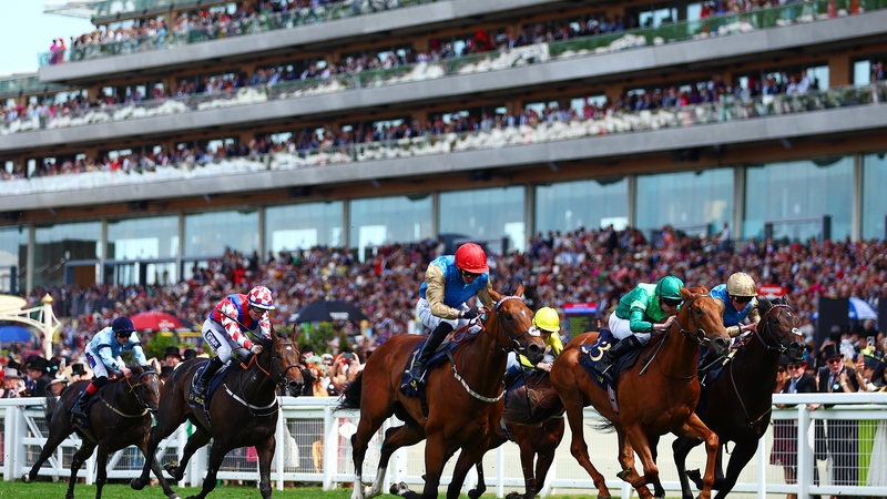 Shareholder won by a length