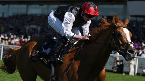 Kyprios had been a notable drifter in the betting for the Ascot Gold Cup over the last week