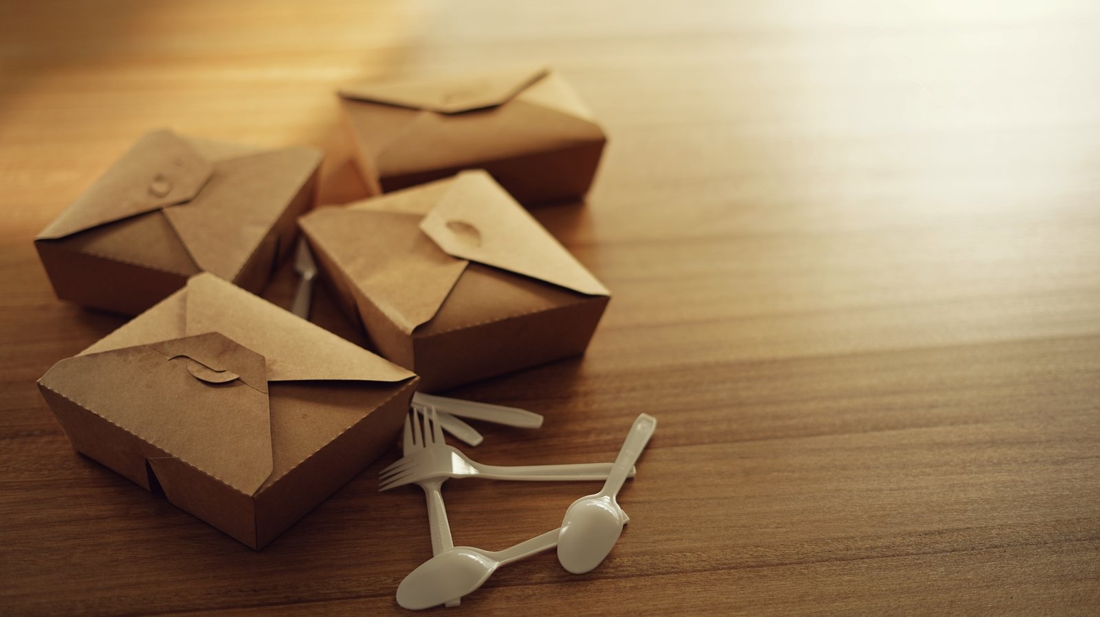 School hot meal scheme 'not sustainable', cttee to hear