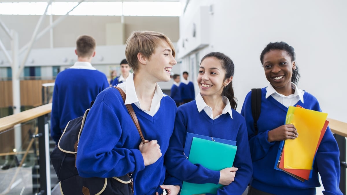 Is Transition Year a good idea?