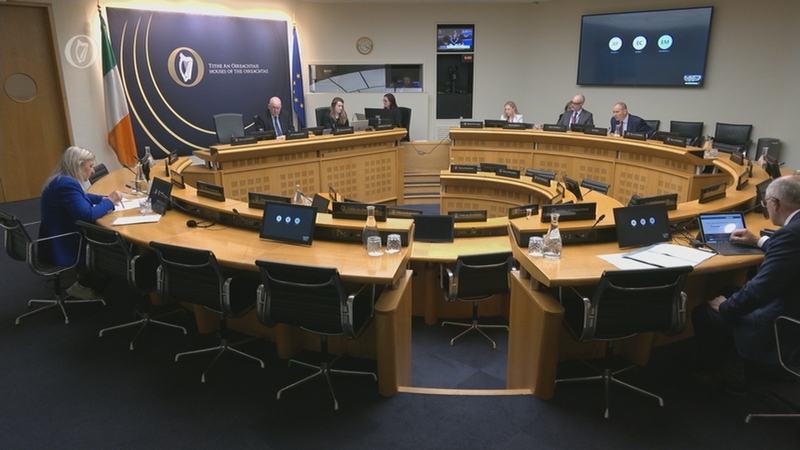 The Oireachtas committees are essential to both the formulation and the passing of legislation