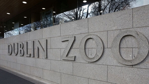 €511,000 was redirected from the zoo's accounts in three different frauds