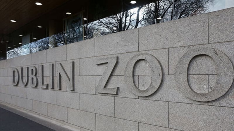 Dublin Zoo welcomed the report from the National Parks and Wildlife Service (File: RollingNews.ie)