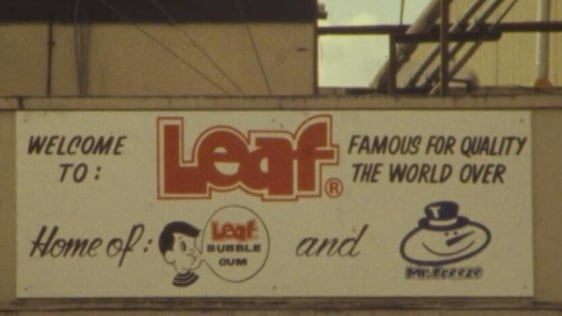 Leaf factory, Kilcock (1984)