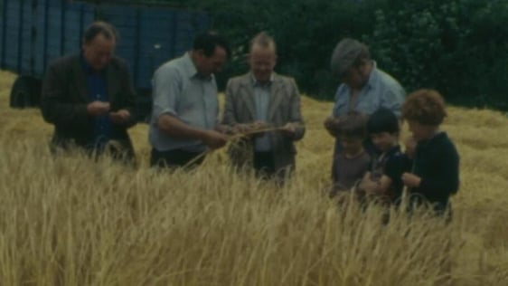 Harvest (1979)