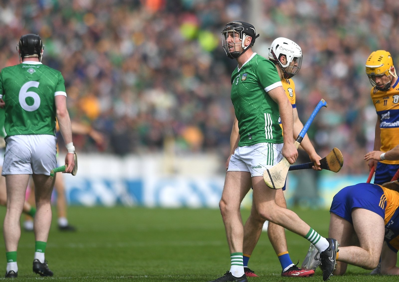 Diarmaid Byrnes has been a vital cog in the Limerick machine