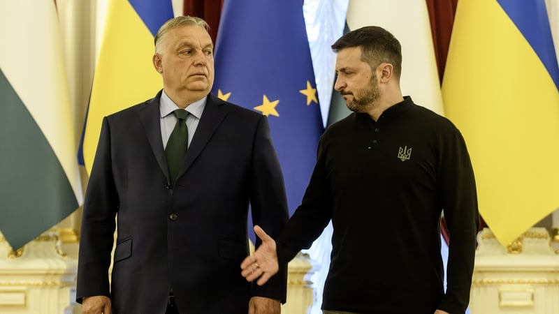 Hungarian Prime Minister Viktor Orban and Ukrainian President Volodymyr Zelensky pictured earlier this year