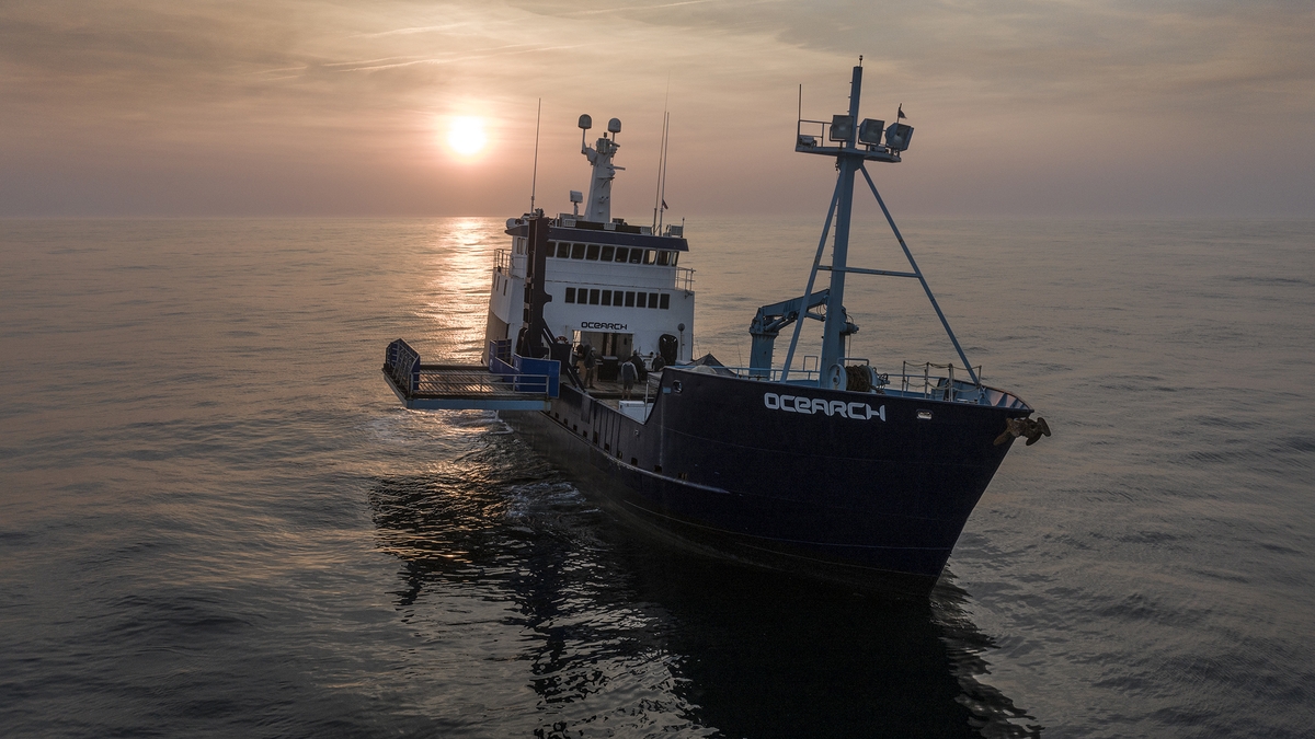Hunt for great white sharks begins off Irish coast