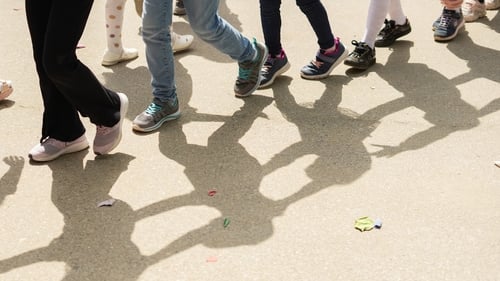 An Oireachtas Committee has been told that adolescent obesity is an "absolute epidemic"