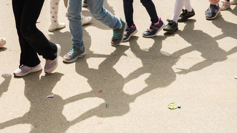 An Oireachtas Committee has been told that adolescent obesity is an "absolute epidemic"