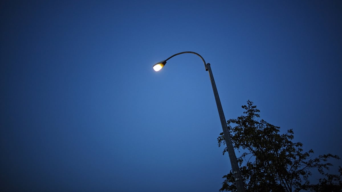 Light pollution – why bugs hate artificial light