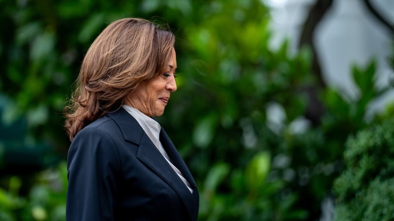Kamala Harris's presidential campaign is becoming known as 'Operation Coconut Tree'