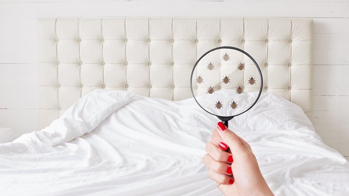 How often should you change your sheets 