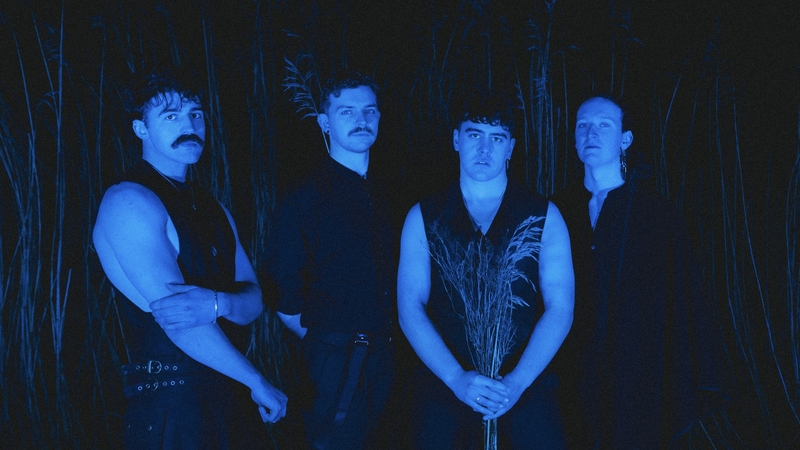 Seal of approval: Under Starling are set to release their new single, Selkie, on 26 July