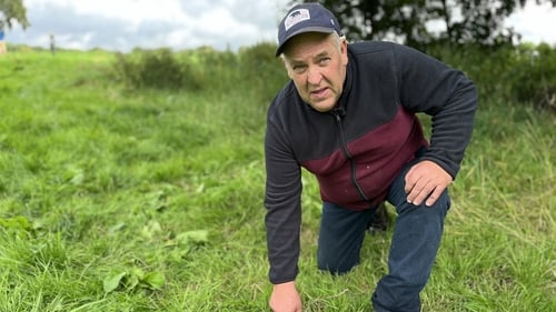 Thomas Dunne in the field where the axeheads were found