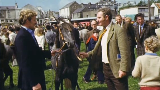 Horse trading at the Connemara pony show in Clifden, County Galway, 1974.