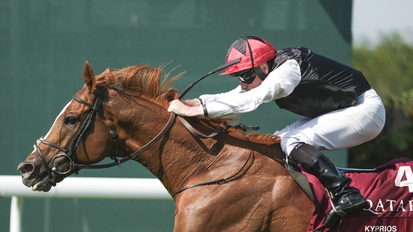 Kyprios is a hot favourite to give Aidan O'Brien a 10th win in the Ascot Gold Cup in June