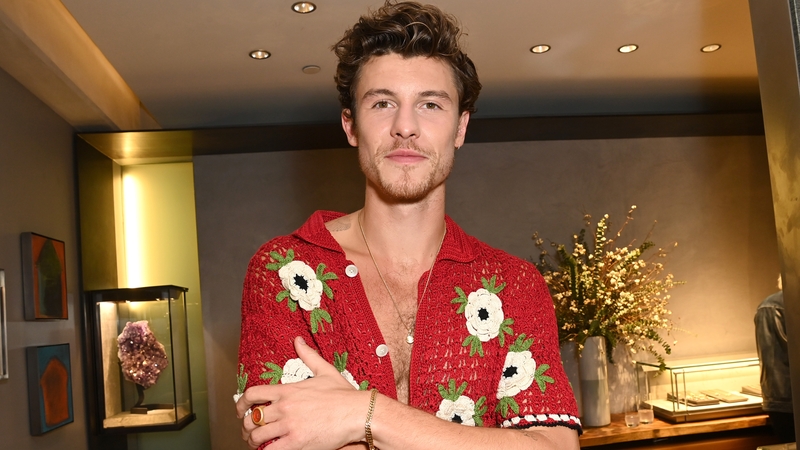 Shawn Mendes: "Music really can be medicine."