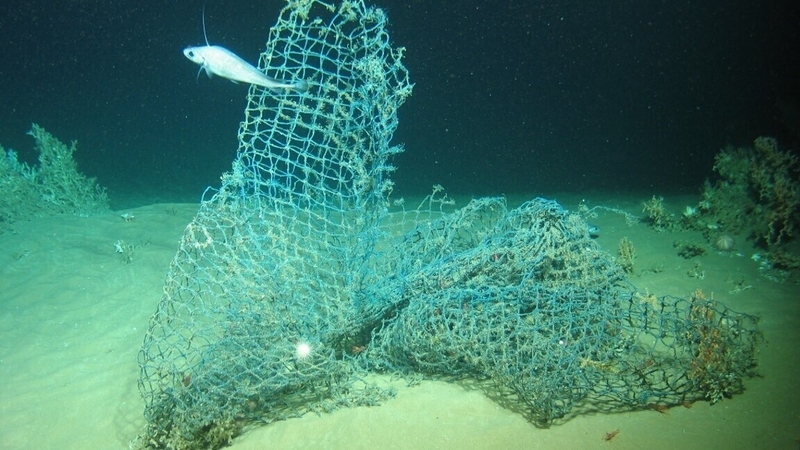 Researchers say the microplastics were found in the 'pristine waters' of the North Alantic Ocean