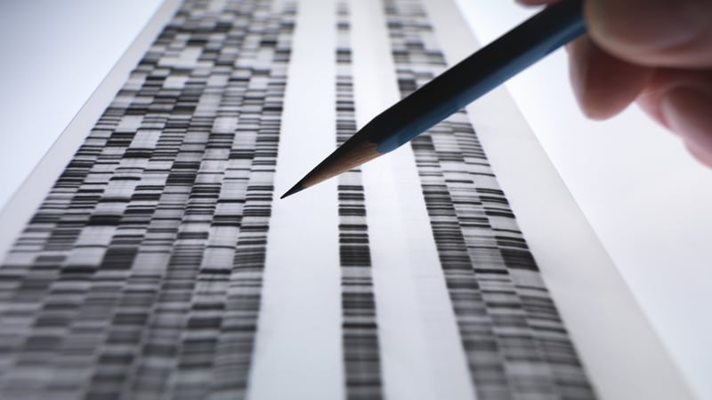 A new scientific finding has given hope to some of the victims' families