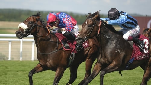 Big Evs (far side) accounted for Aussie raider Asfoora at Goodwood last time out