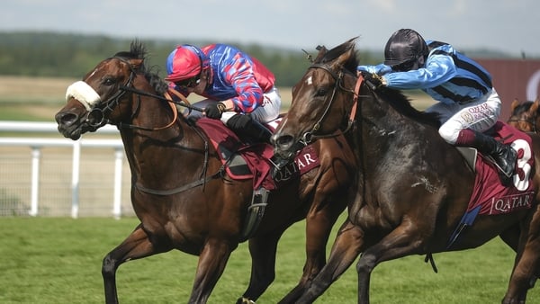 Big Evs (far side) accounted for Aussie raider Asfoora at Goodwood last time out