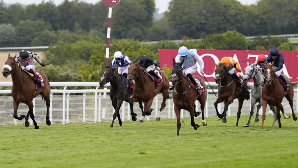 Billy Lee guides the hooded Term Of Endearment to victory