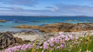 Anne Mhic Dhonnacha, OPT Chonamara Láir show image