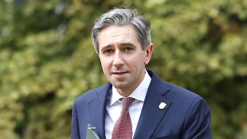 Tánaiste and Minister for Foreign Affairs Simon Harris