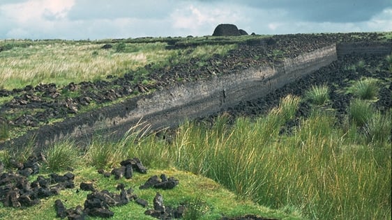 A bank of turf in Ireland, 1974.