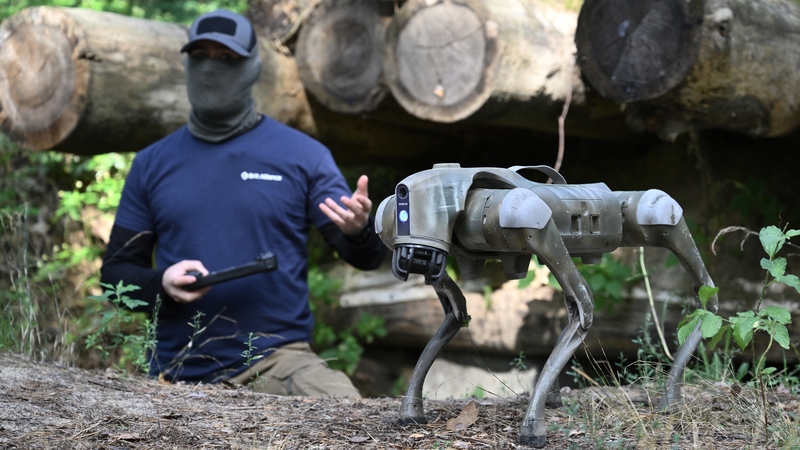 The robot dogs are said to be stealthy, agile and difficult to detect