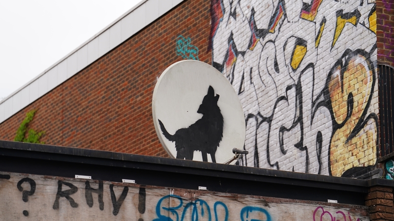 The Banksy wolf artwork in south east London